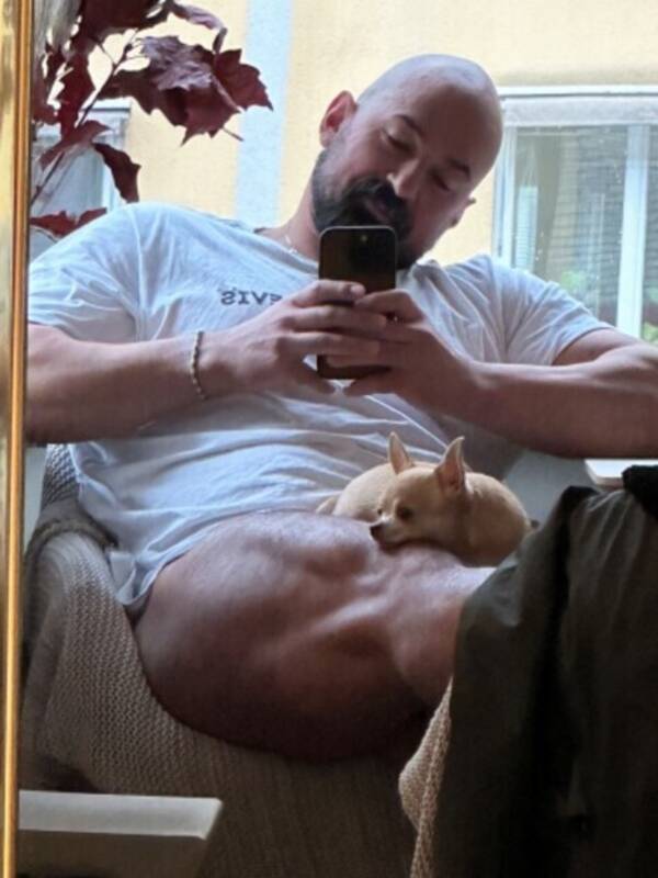 Hund - Chihuahua Dolly?? Hund - Chihuahua Dolly??