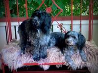 Molly och Affra Molly och Affra