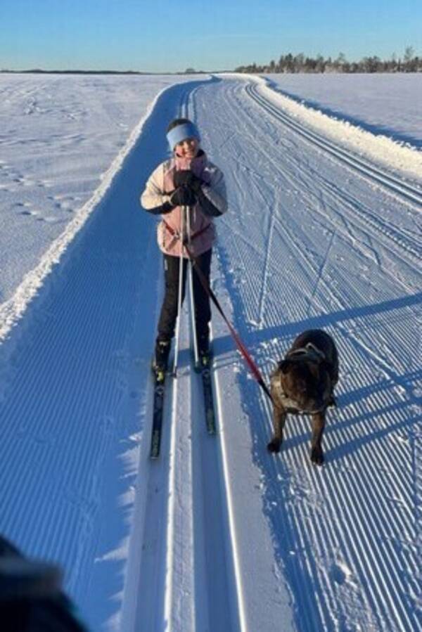 Hund - Staffen Birk Hund - Staffen Birk