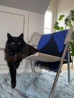 Lill-Fisen Lill-Fisen