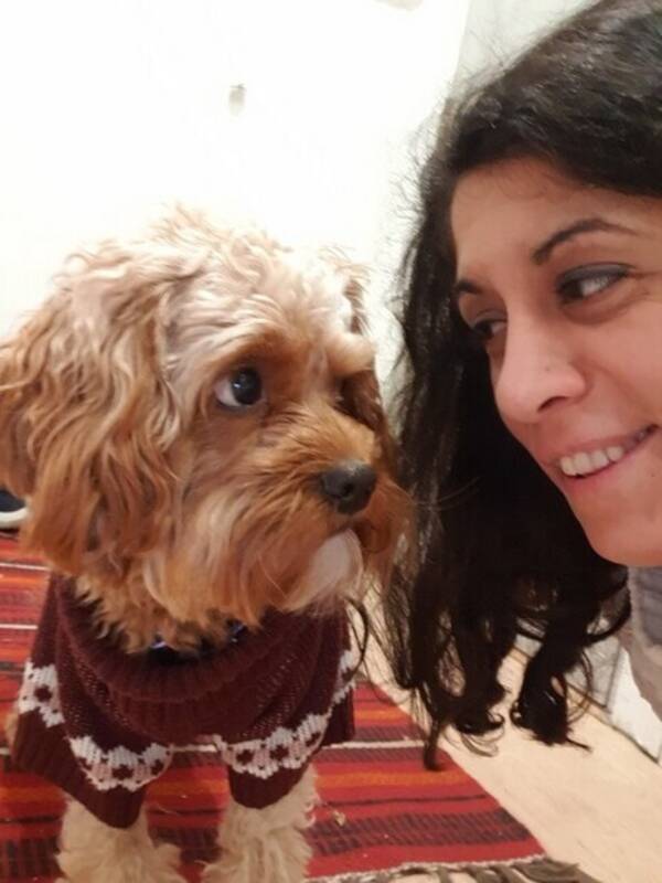 Hund - Sofus Cavapoo