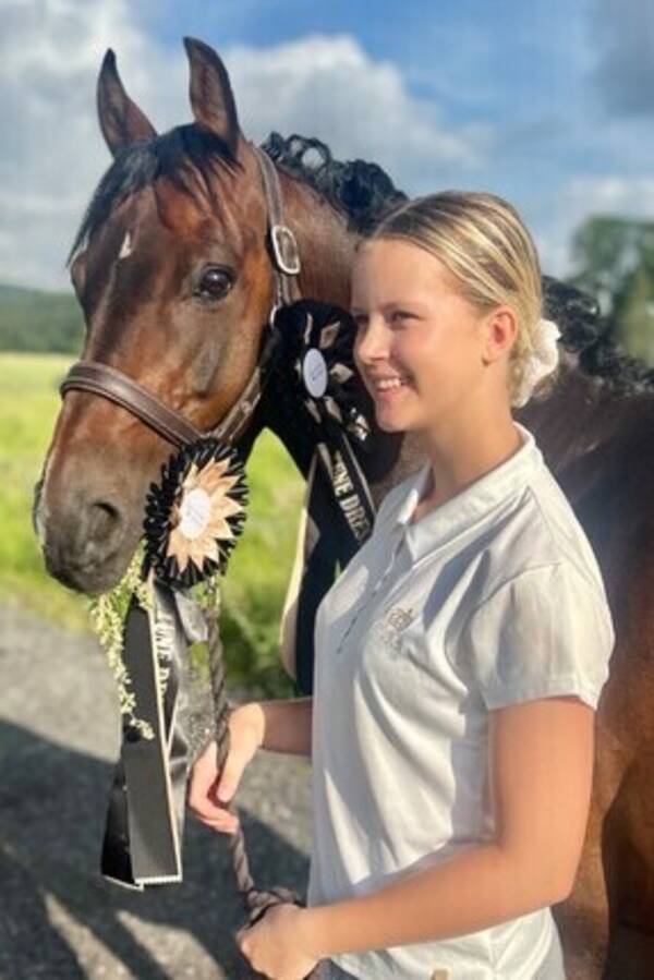 Annet - Hest Annet - Hest