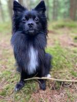 Liten spets. Liten spets.