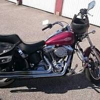 Harley Davidson FXST 2001 Harley Davidson FXST 2001