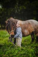 Shettisen Tore Shettisen Tore