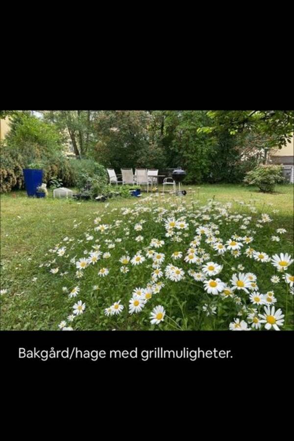 Leilighet - Leilighet Sagene Leilighet - Leilighet Sagene