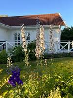 Villa i Gråbo Villa i Gråbo