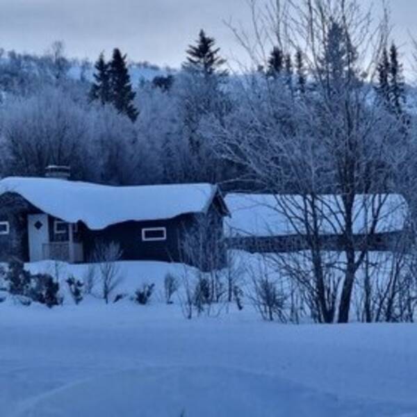 Hytte - Seter med låve fra 1800 tallet  Hytte - Seter med låve fra 1800 tallet