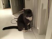 Sanna och Sune Sanna och Sune