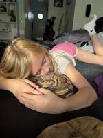 Ormen Tiger Ormen Tiger