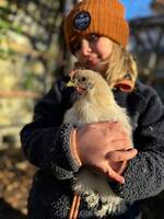 Tuppen Fläder Tuppen Fläder