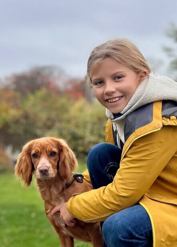 Hund - Cockerspanieln Alba Hund - Cockerspanieln Alba