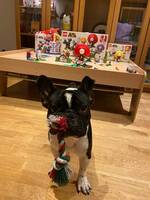 Frallan Charlie Frallan Charlie