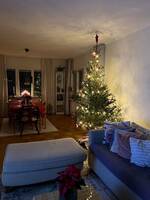 La casa amorim La casa amorim