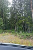 Mitt i skogen-jaktstuga Mitt i skogen-jaktstuga