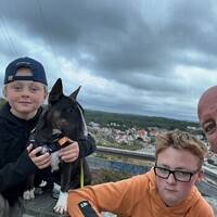 Miniatyr Bullterrier 3 år Miniatyr Bullterrier 3 år