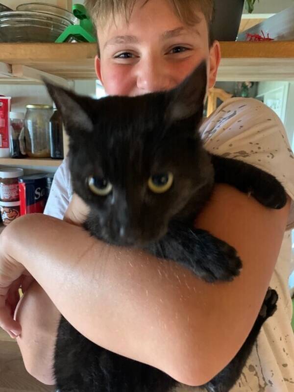 Katt - Pussi  Katt - Pussi