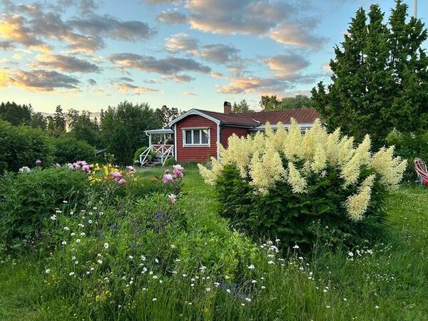 Sommarstuga - Fritidshus p Vdd i Roslagen 