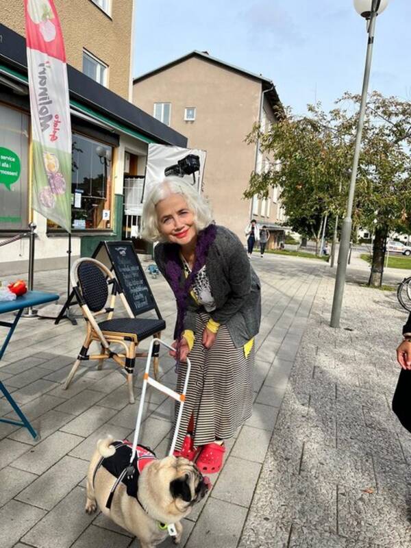 Hund - Mops  Zack Nilsson  världsklass 