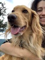 Cobberdog Bastian Cobberdog Bastian