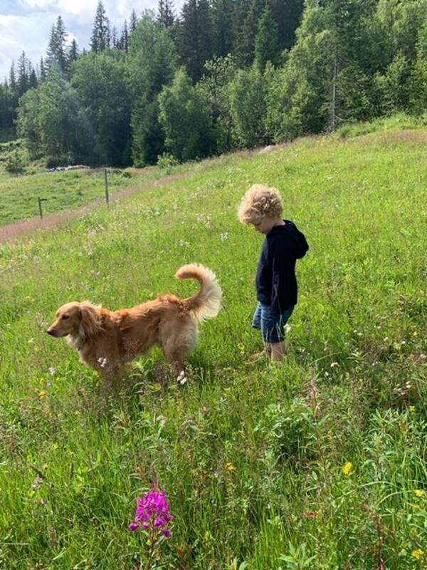 Hund - Cobberdog Bastian