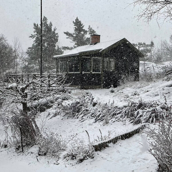 Sommarstuga - Kolonistuga i Skarpnck