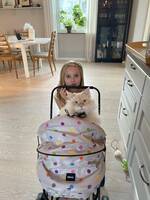 Katten Porthos Katten Porthos