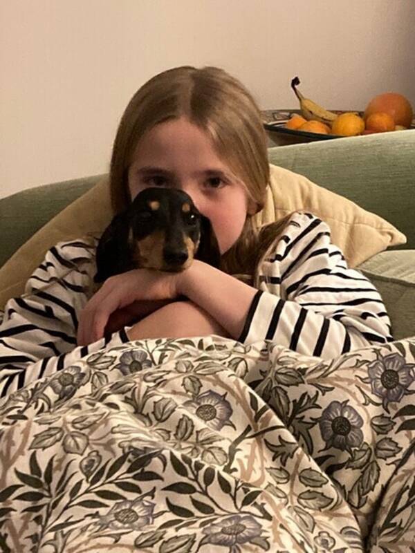 Hund - Kanintaxen Celine Hund - Kanintaxen Celine