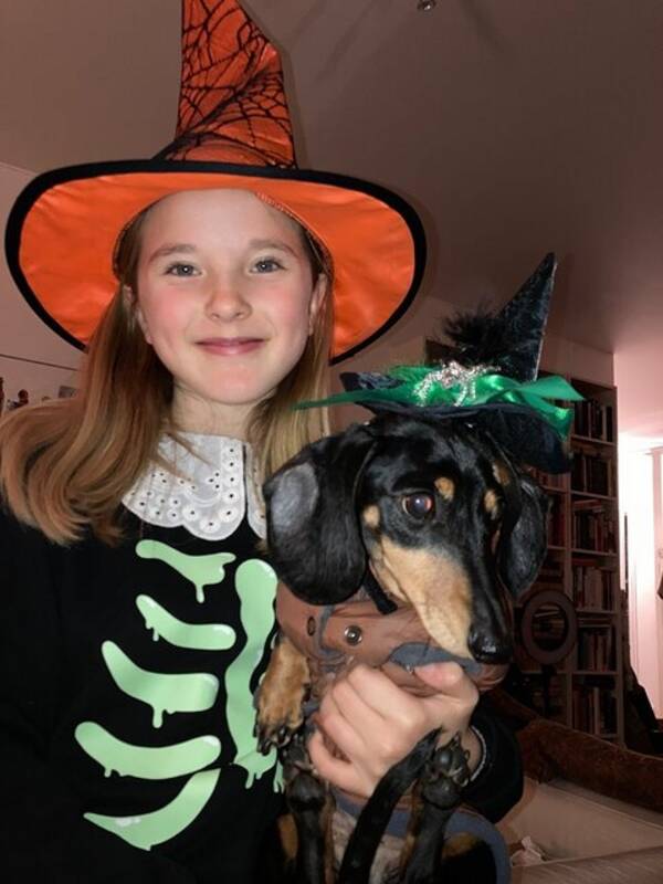 Hund - Kanintaxen Celine Hund - Kanintaxen Celine