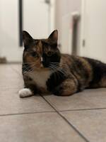 Smulan & Pumpan Smulan & Pumpan