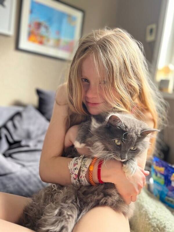 Katt - Langhåret katt Katt - Langhåret katt