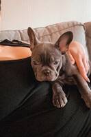 Frallan Zoey Frallan Zoey