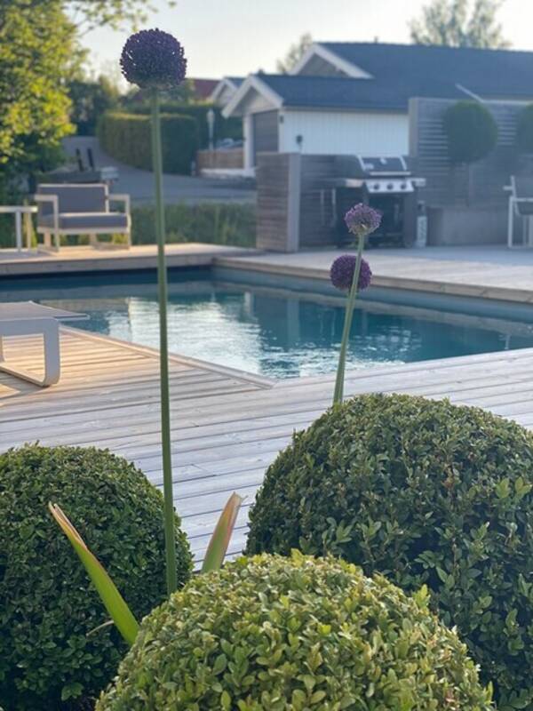 Hus - Enebolig med basseng på Snarøya Hus - Enebolig med basseng på Snarøya