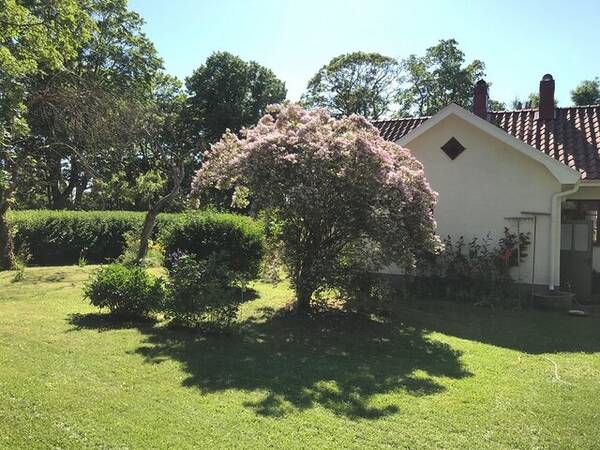 Sommarstuga - Sommarhus i Vnge p Gotland