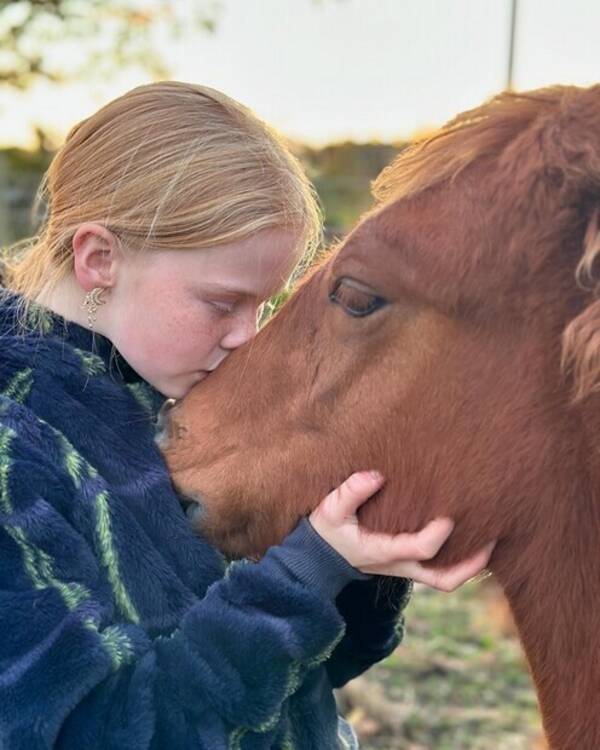 Annet - Nordlandshest Karla Annet - Nordlandshest Karla