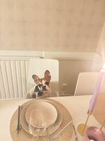 Luna Fransk bulldog Luna Fransk bulldog