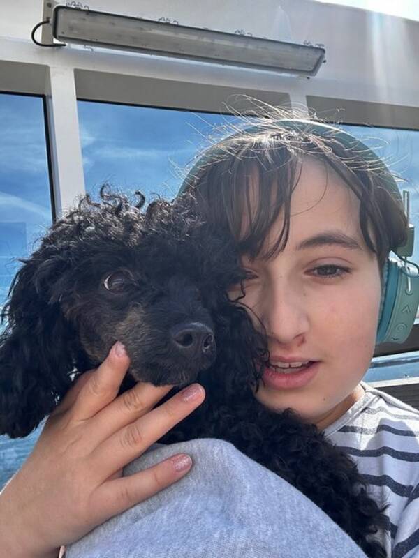 Hund - Sophie Hund - Sophie