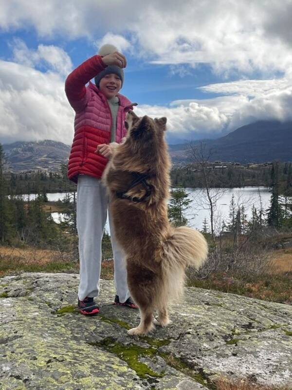 Hund - Lappejente Izzy Hund - Lappejente Izzy