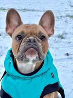 Frallan Enzo Frallan Enzo