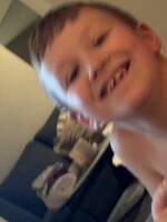 Alfred skogskatt Alfred skogskatt