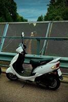 Viarelli Enzo Viarelli Enzo