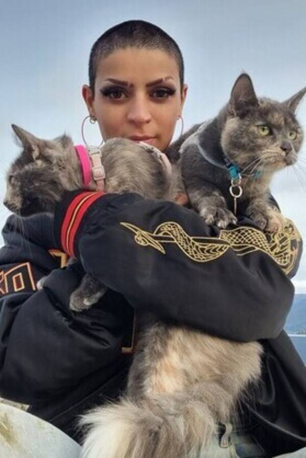 Katt - Sky & storm  Katt - Sky & storm