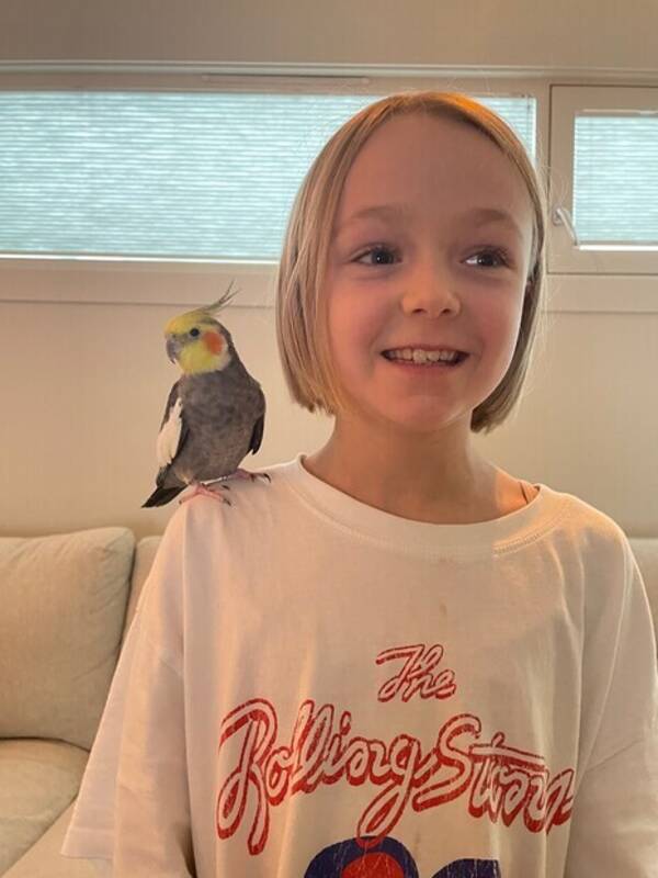 Annet - Nymfekakaduen Romeo Annet - Nymfekakaduen Romeo