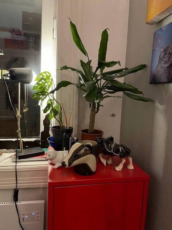 Leilighet - Rom Leilighet - Rom