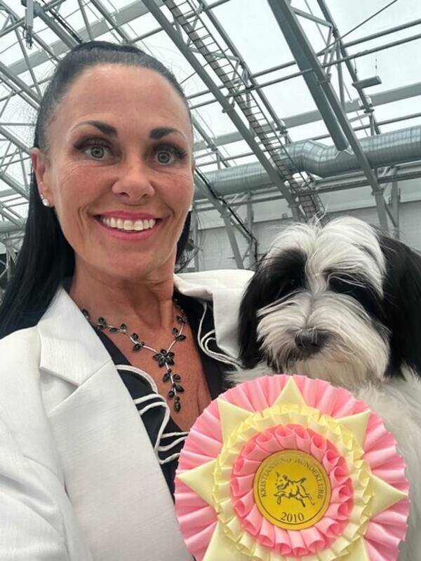 Hund - Cher, Bichon Havanais Hund - Cher, Bichon Havanais