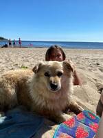 Blandras Sussi Blandras Sussi