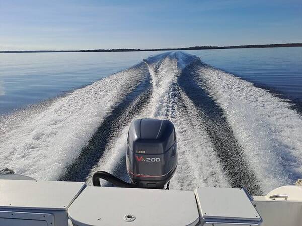 Fordon - Cobia 204 WA Fordon - Cobia 204 WA