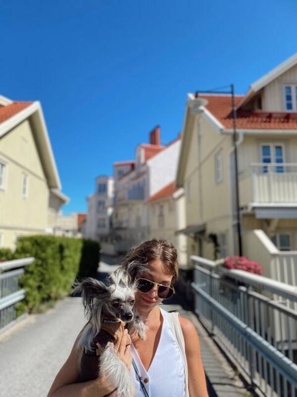 Hund - Kinesisk Nakenhund / Chinese Crested Hund - Kinesisk Nakenhund / Chinese Crested