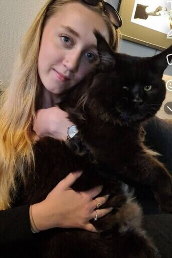 Katt - Panther Katt - Panther