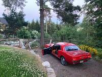 Ford Mustang 1965 Ford Mustang 1965